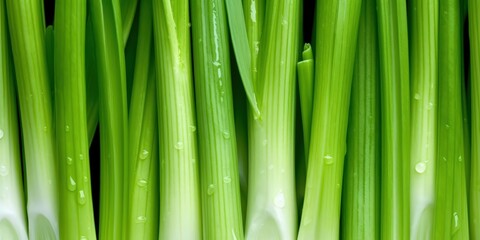Obraz premium Green Vegetables Close Up, A close-up of fresh green pelager vegetable celery