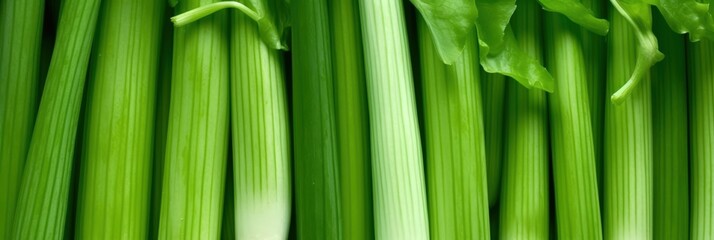 Obraz premium Close-Up of Green Celery Stalks, A close-up of fresh green pelager vegetable celery