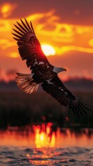 Obraz premium Majestic eagle flying over marshlands, sunset glow, panoramic view, calm water, wide shot, sharp focus, natural beauty