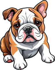 Obraz premium Charming Bulldogs are lying, playing, jumping, running, sitting, standing, vector & Illustrations . Playful Pups Brown and White Bulldog Art .