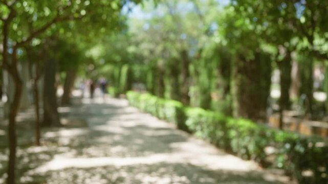 Blurred outdoor park in mallorca with green trees and bushes creating a peaceful, natural, and relaxing ambiance, people walking in the background, and sunlight filtering through foliage