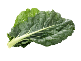 a leafy green vegetable with a stem