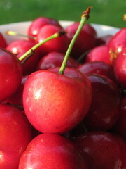 Zbliżenie na owoce czereśni