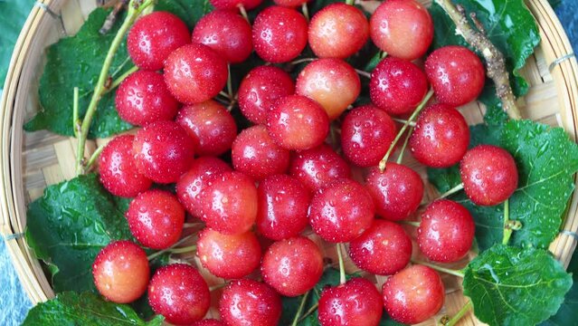 Red Cherry fruit in bamboo basket on on wooden background, Japanese Red highest variety of cherries on wooden table in the garden.
