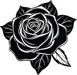 black and white rose vector Illustration