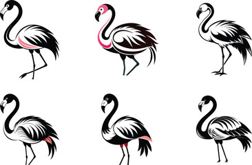 set of flamingos vector