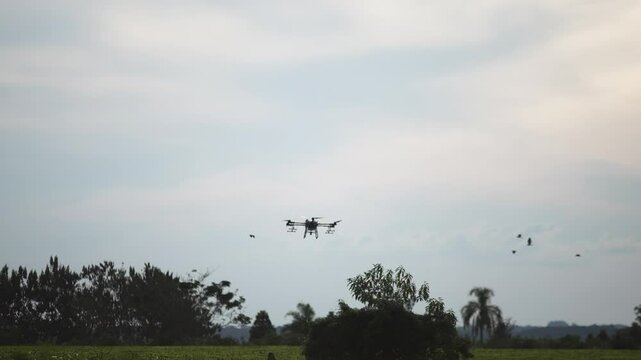 Slowmotion shot of a DJI Agras T30 scanning a field to create a map for spraying