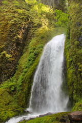 Obraz premium waterfall in the forest