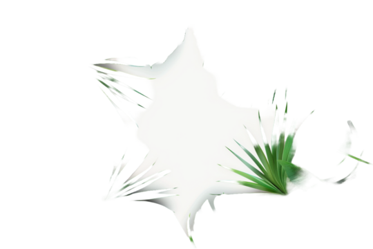 tropical leaves frame isolated on transparent background