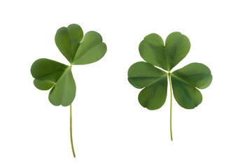 two leaf clover isolated on transparent background 
