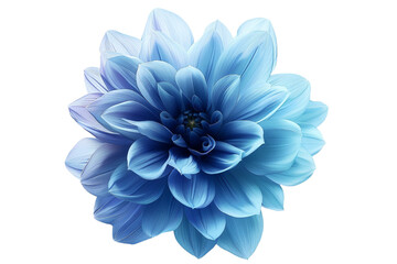 Fototapeta premium water blue flower isolated on transparent background