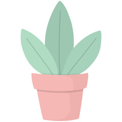 plant in a pot