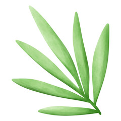Obraz premium summer leaf