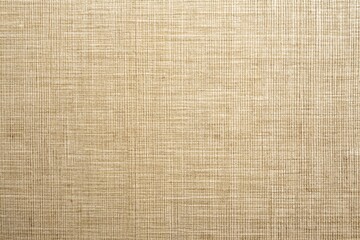 Fototapeta premium A tan background with a pattern of lines