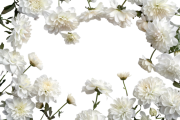 white flowers branch isolated on transparent background