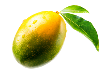 Ripe mango with green leaves and water drops isolated on white transparent background, colorful, organic, exotic, and delicious.