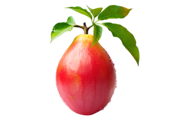 Ripe mango with green leaves and water drops isolated on white transparent background, colorful, organic, exotic, and delicious.