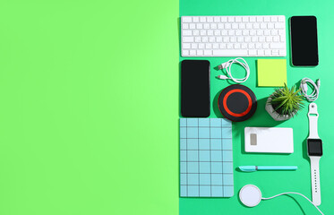 Composition with modern gadgets, stationery and plant on color background