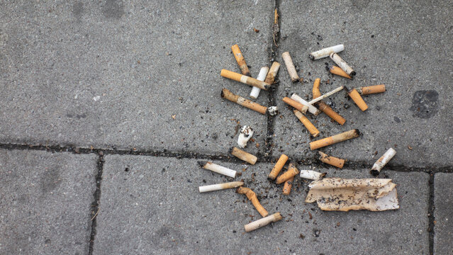 cigarette buds/buts on the tile pavement.