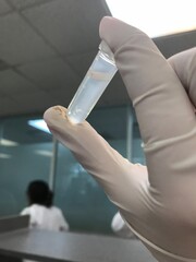 Lab