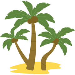 Coconut Tree Illustration