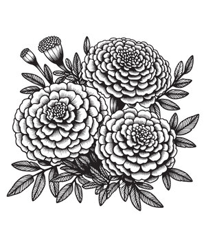 black and white marigolds floral arrangement clip art preview