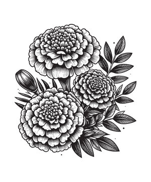 black and white marigold flowers bouquet clip art preview