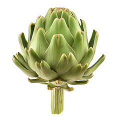 Obraz premium Artichoke, Flower, Isolated on Transparent Background, Graphic Resource for Gourmet Advertising, Menu Design, Website Banners, Packaging, and Social Media Campaigns 