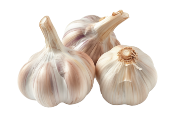 Ripe creole garlic bulb isolated on a white background.