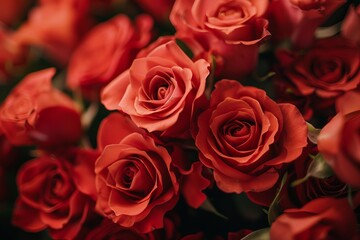 A close-up photograph capturing the intricate details of a bouquet of vibrant red roses. The roses are arranged perfectly, filling the frame and creating a sense of abundance and beauty