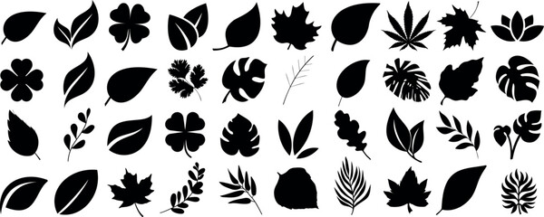 leaf silhouette vector set, silhouette of leaves icon vector collection foliage shapes botanical design illustration. Perfect for nature, plant themed projects