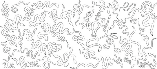 snake line illustration, monochrome snake vector art featuring  wavy snakes line art
