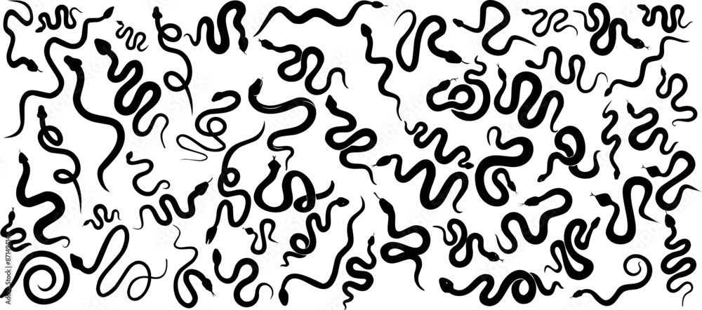 Wall mural snake silhouette set, abstract snake vector illustration