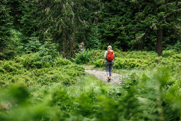 Woman tourist with backpack and hiking poles walking on trekking trail in forest