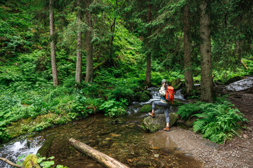 Fototapeta premium Hike along stream in forest. Woman with backpack hiking in wilderness. Outdoor adventure