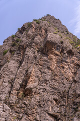 A large rock formation with a green tree growing out of it