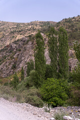 A mountain range with a rocky road leading to it