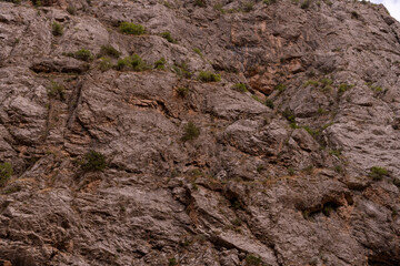 A rocky mountain with a few plants growing on it