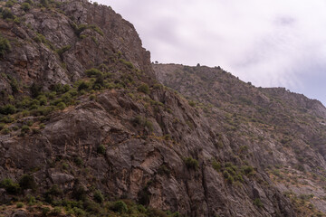 A rocky mountain with a few trees on it