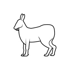 Musk Deer. Conservation Animal Symbol. Fanged Mammal Symbol.