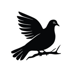 A vector Silhouette Dove Bird