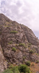 A rocky mountain with a few trees growing on it