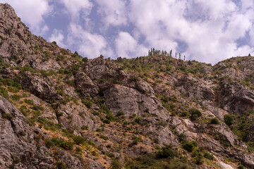 A rocky mountain with a few trees on it