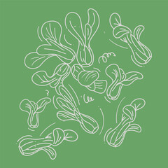 Hand Drawn Doodle Vegetable Collection