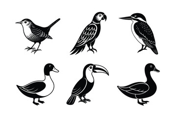 6 Birds Black silhouette vector illustration