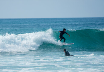 professional surfer riding waves, men catching waves in ocean, isolated. Surfing action water board sport. people water sport lessons and beach swimming activity on summer vacation