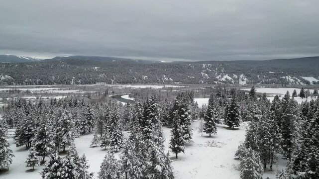 Monochromatic winter forest flyover toward snowy mountain river valley