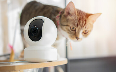 Close-up view of CCTV camera setting on the cat tower at home.