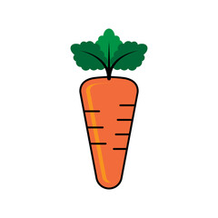 Carrot Icon. Healthy Fresh Vegetables. Eye Vitamins. Bunny Food. Rabbit Meals.