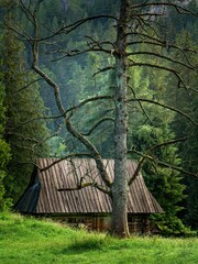 Szałasy, bacówki w Tatrach w okolicach Kuźnic i Kalatówek  © Michal45